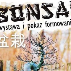 BONSAI – wystawa i pokaz formatowania