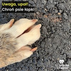 Upały nie odpuszczają