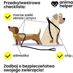 Zadbaj o bezpieczeństwo swojego zwierzęcia!